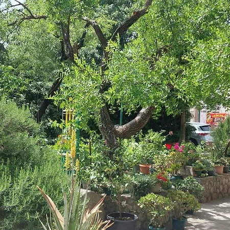 A Charming Oasis In The Center *