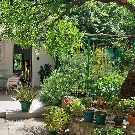 A Charming Oasis In The Center Apartment Makarska